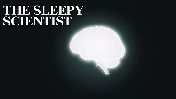 What Really Happens When You Sleep? | Science for Sleep