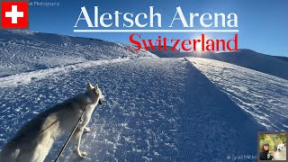 Aletsch Arena Fiesch - Fiescheralp - Bettmeralp 4K