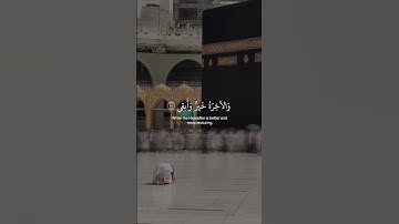‏﴿ قَدْ أفَلحَ مَن تَزكَّىٰ ﴾ سورة الأعلى، عبدالرحمن مسعد #ارح_قلبك #راحة_سمعية #قرآن