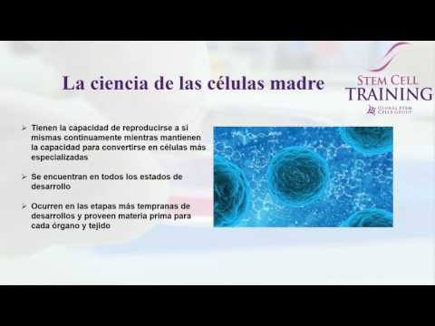 Vídeo: Secuenciación Unicelular En Biología De Células Madre