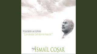 Bu Cismim Ateşi Aşkınla Yansın (Kaside) — İsmail Coşar kapak görseli