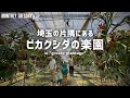 【埼玉園芸店巡り】埼玉の片隅にあるビカクシダの楽園groote plantageでビカクに沼る!