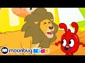 Przerażające zwierzęta  | Bajki i piosenki dla dzieci! | Moonbug Kids po polsku