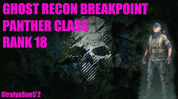 GHOST RECON BREAKPOINT PANTHER CLASS RANK 18