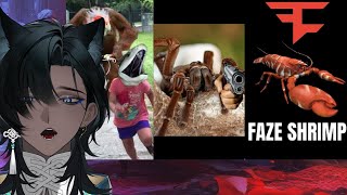 Australian Animals Are TERRIFYING! | DRMalliVT Reacts