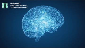 About NeurotechEU - The European University of Brain and Technology