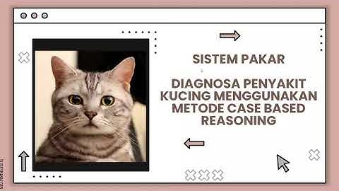 SISTEM PAKAR DIAGNOSA PENYAKIT KUCING MENGGUNAKAN METODE CASE BASED REASONING