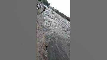 قرائه القرآن الكريم الشيخ عبدالمحسن القاسم