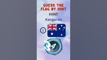Guess the flag | tips n tricks #youtubeshorts #trending