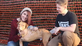 Tebow Adopted from the MEGA Adoption Event