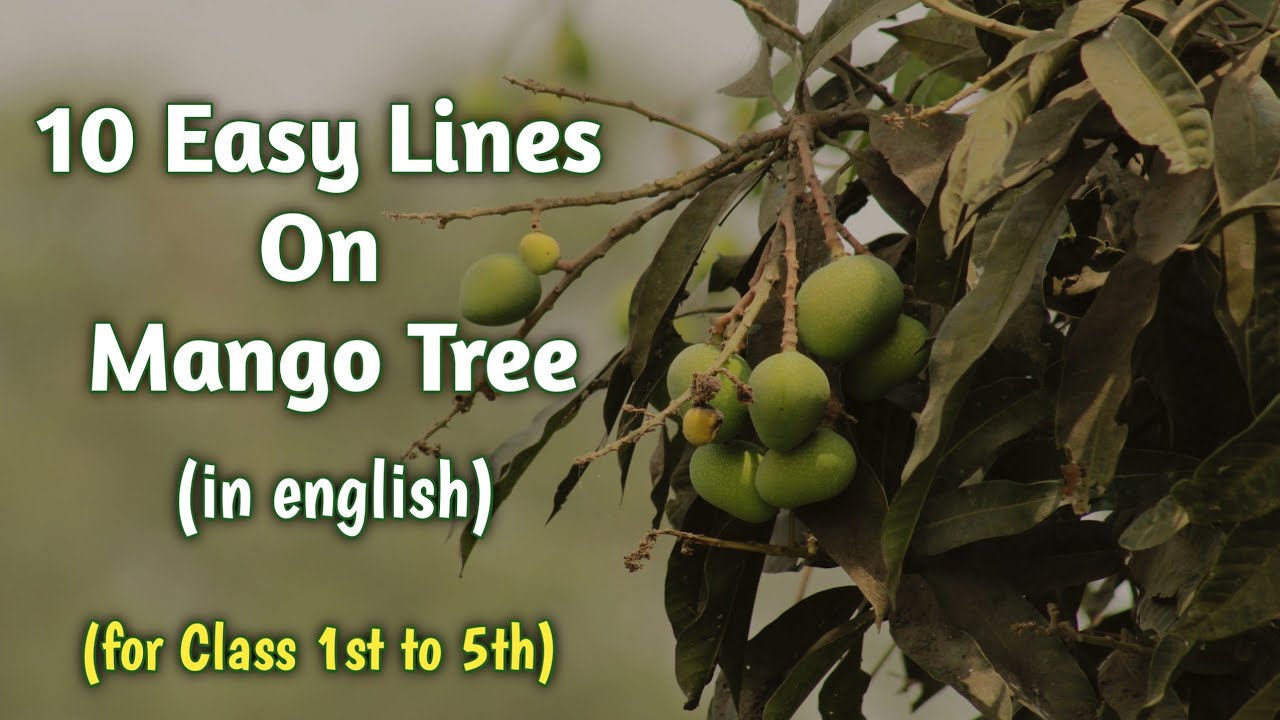 essay on mango tree