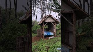 Deep Forest Isolation: Why I Love This Simple Hut #asmr #cabinbliss #forestambience