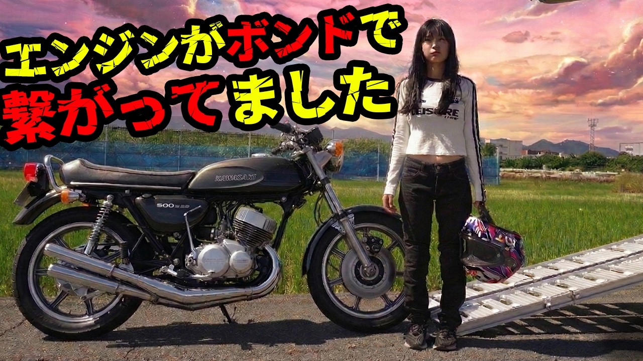 KAWASAKI マッハ750SSポイントカバー 【公式通販】