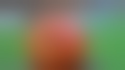 Exploding Pumpkin - SLOW MOTION