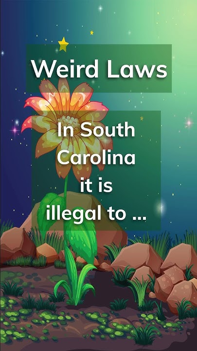 FUNNY Weird Laws In America shorts YouTube funny-weird-laws-in-america-shorts-youtube