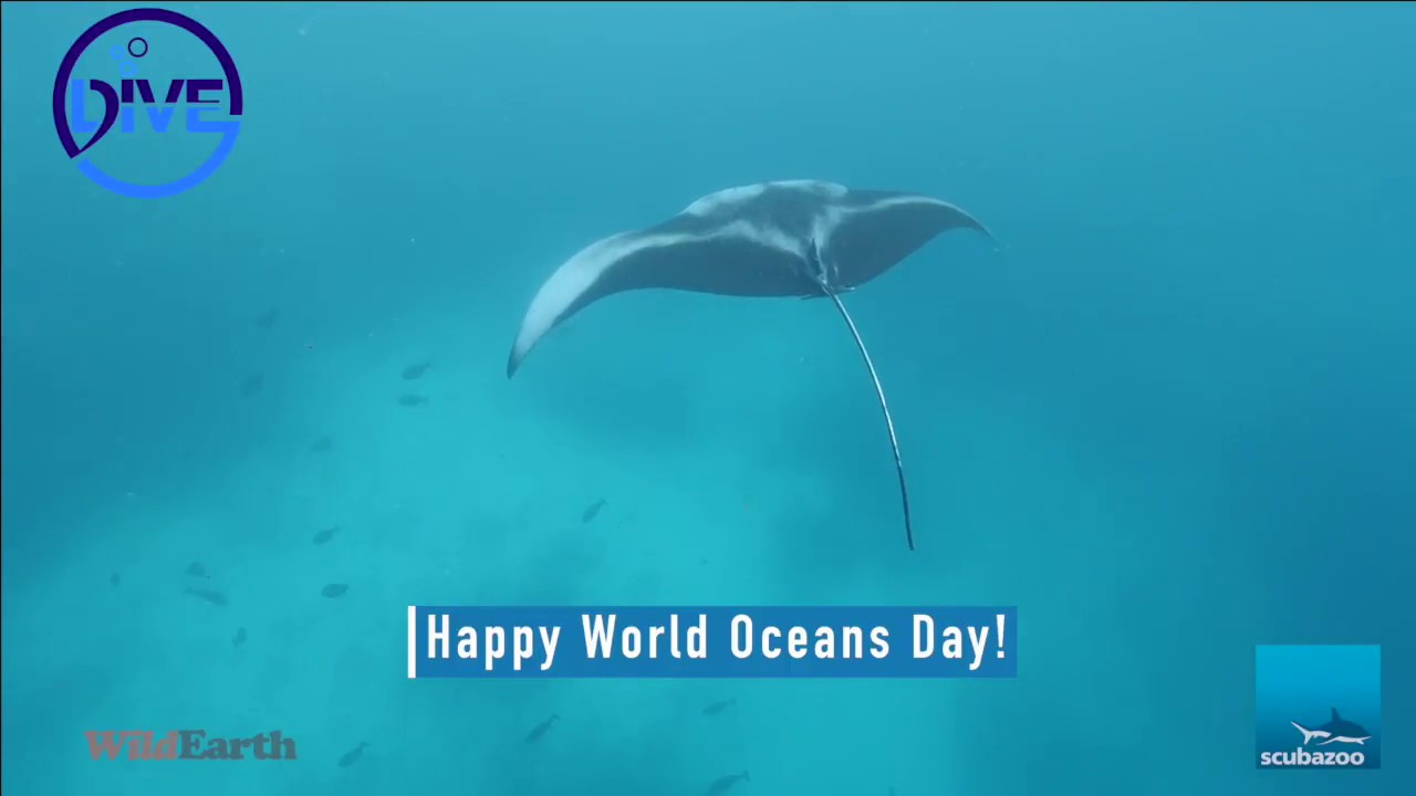 World Oceans Day 18 Youtube