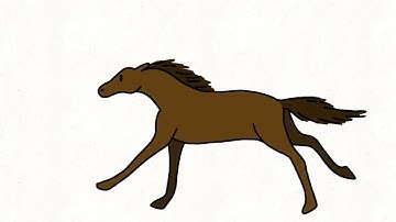 Horse animations - walk & run cycles