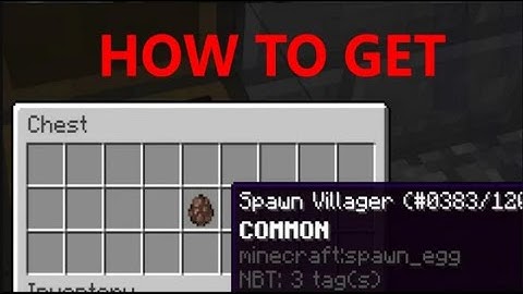 How to get GLITCHED Villager Spawn Eggs!!   Hypixel Skyblock