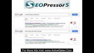 SEOPressor VErsion 5 - SEarch Engine Optimization Expert
