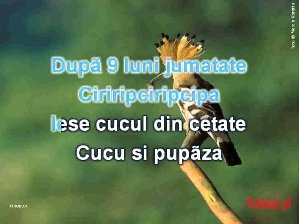 cucu si pupaza