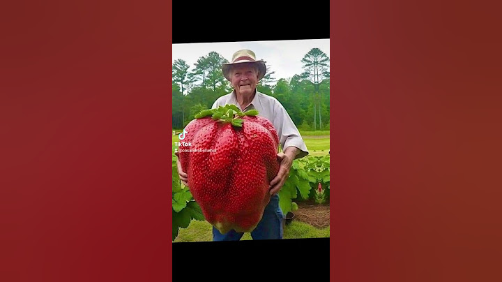 gigantische aardbei 🍓
