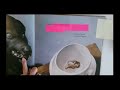 Atelier 03 - Montrer les émotions au lieu de les nommer