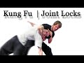 Learn Choy Li Fut Kung Fu | Joint locks