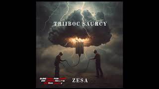 Triiboc Saurcy - ZESA (Official Audio)