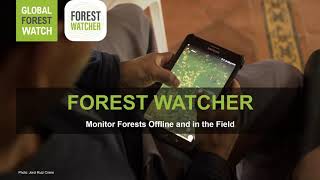 Forest Watcher: Monitor Forests Offline and In the Field screenshot 2