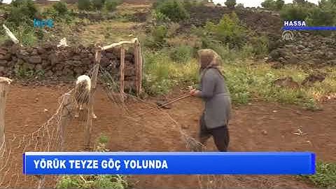 Yörük teyze göç yolunda
