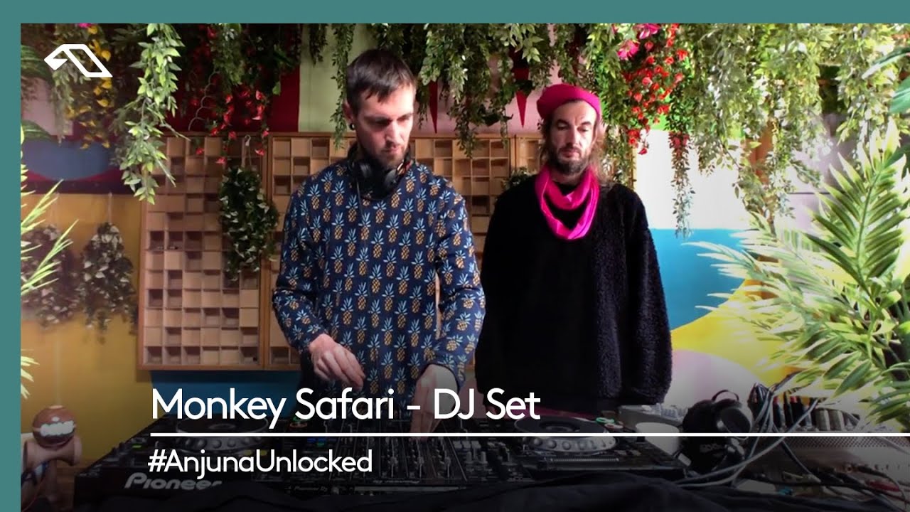 monkey safari live set