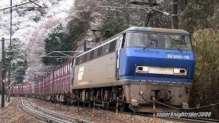 JR貨物 EF200-18号機+コキ22B 貨物列車1091レ 八本松→瀬野 2014.2