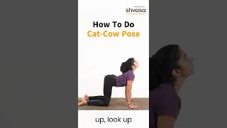 How to do CatCow Pose #catcowpose #marjariasana