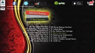 Mehmet Kamış - Mestu Hayranım Resimi