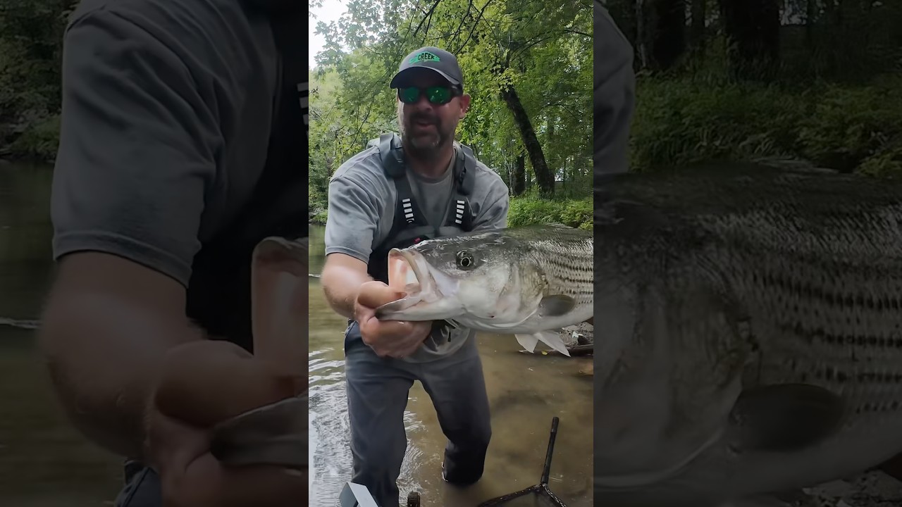 Creek Fishing Adventures