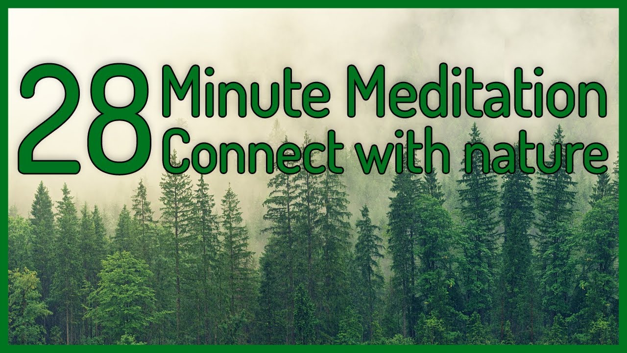 Sounds and images to improve your mood and connect with nature: 28 minutes of meditation.