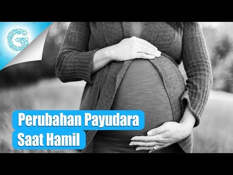 Video: Bagaimana Tubuh Anda Berubah Semasa Kehamilan: Hormon, Payudara & Banyak Lagi