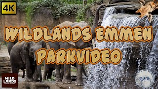 WILDLANDS Adventure Zoo Emmen Parkvideo 4K