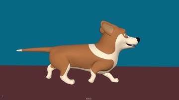 Break My Stride | 3D Animation Corgi Walk Cycle