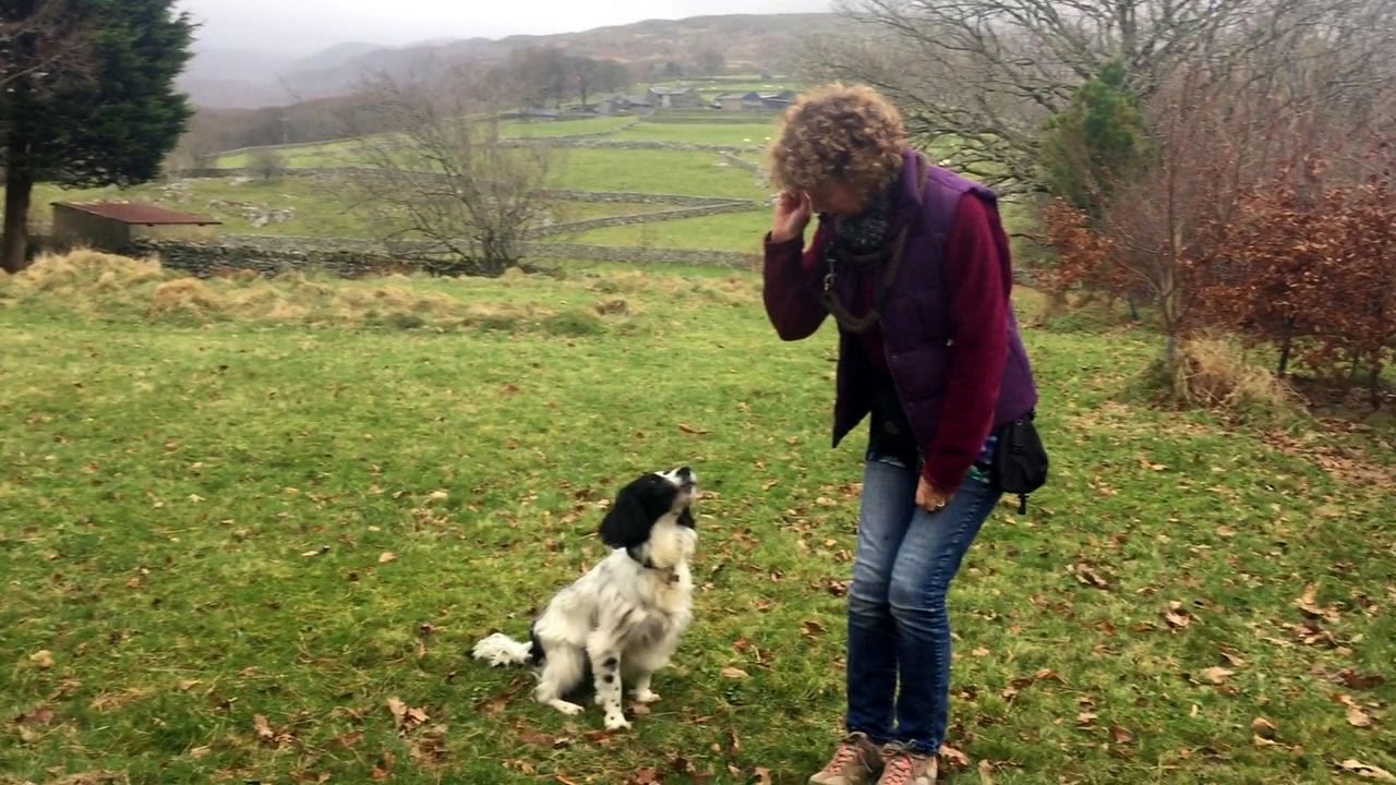 Learning To Call Your Dog With A Whistle YouTube