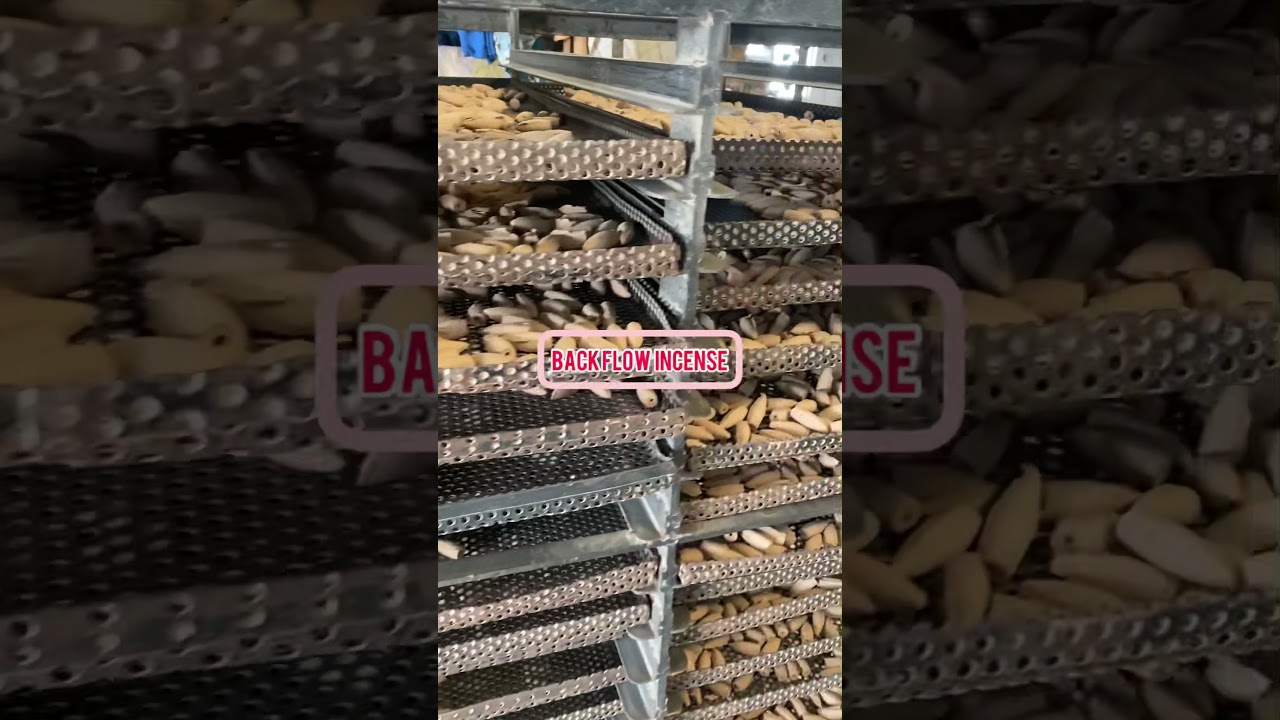 Export Quality Backflow Incense Cone Manufacturing Plant of KIO | USA CANADA MEXICO UK AUSTRALIA