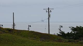 Pre launch look at SLC4