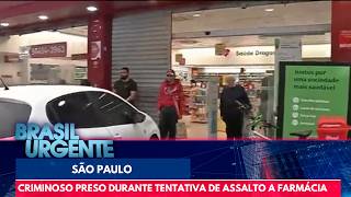 Criminoso é baleado por policial durante assalto a farmácia em SP | Brasil Urgente