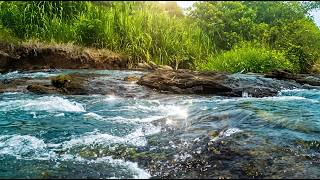 🔴 LIVE NOW Crystal Clear River Sounds 🌊 Relaxing Nature for Deep Sleep, Meditation & Stress Relief
