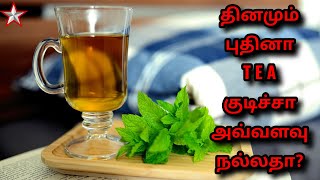 தினமும் புதினா TEA குடிச்சா அவ்வளவு நல்லதா | Health Benefits of Mint Tea | SHINING STAR CHANNEL