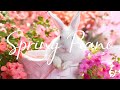 봄이 와요! 봄을 위한 최고의 피아노 음악 &#39;Spring Relax Piano&#39;