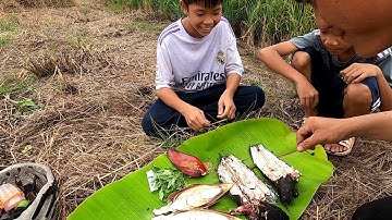 Tuổi Thơ Ai Từng Bắt Cá Lóc Nướng Rơm Chưa /Đạt Nguyễn Cần Giờ