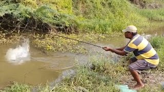 Fish hunting|| Best village fishing for Rohu