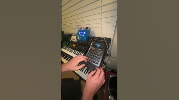 Quick loops no.1 #livelooping #sp404 #shorts #musicproduction @rolandglobal @yamahaglobal