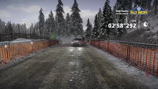 WRC9 - Sweden: Torsby Reverse [2:58.292] POV @DoomSkullYT